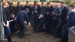 6,000 pass meat supply chain training programme in 3 years