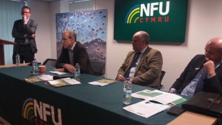 NFU Cymru warns of ‘nightmare’ no-deal Brexit