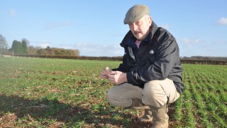 West provides research focus for UK’s number one wheat disease