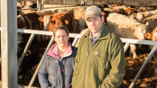 Are you making the best use of your feed over winter?