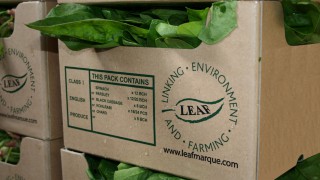 LEAF invites industry to help shape future of the marque