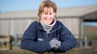 ‘Brexit or no Brexit; deal or no deal, we have 66 million mouths to feed’