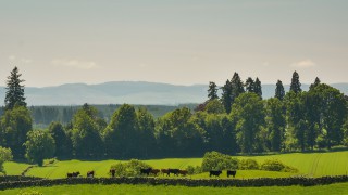 Farm unions urge Chancellor to act now to change no-deal tariffs