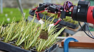 Horticulture conference to bring international robotics experts to UK