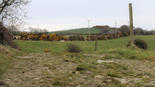 DAERA issues new Environmental Farming Scheme agreements