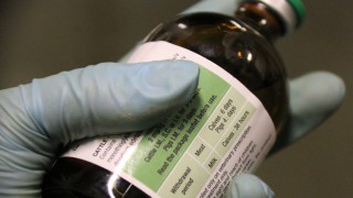 Antibiotics training days launched for Northern Ireland dairy farmers