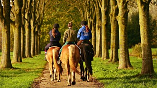 Lincolnshire to introduce ‘Rural Rangers’ in fight against rural crime