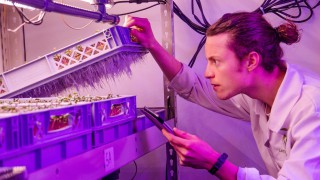 LettUs Grow named best ‘tech-for-good’ startup in the UK