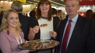 HCC to launch GB marketing push ahead of Brexit