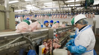 2 Sisters fined £274,000 after 2 workers lose fingers