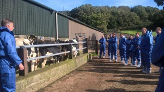 NI’s Business Development Groups Scheme reopens for applications