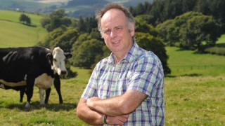 Welsh Red Meat Summit: ‘No-deal’ threat puts sector in ‘perilous position’