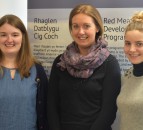 New flock and herd health officers to help drive Welsh red meat efficiency
