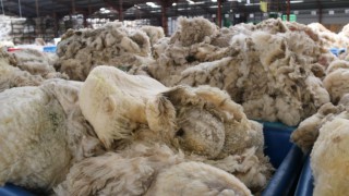 NSA calls for National Trust to ditch its fleeces