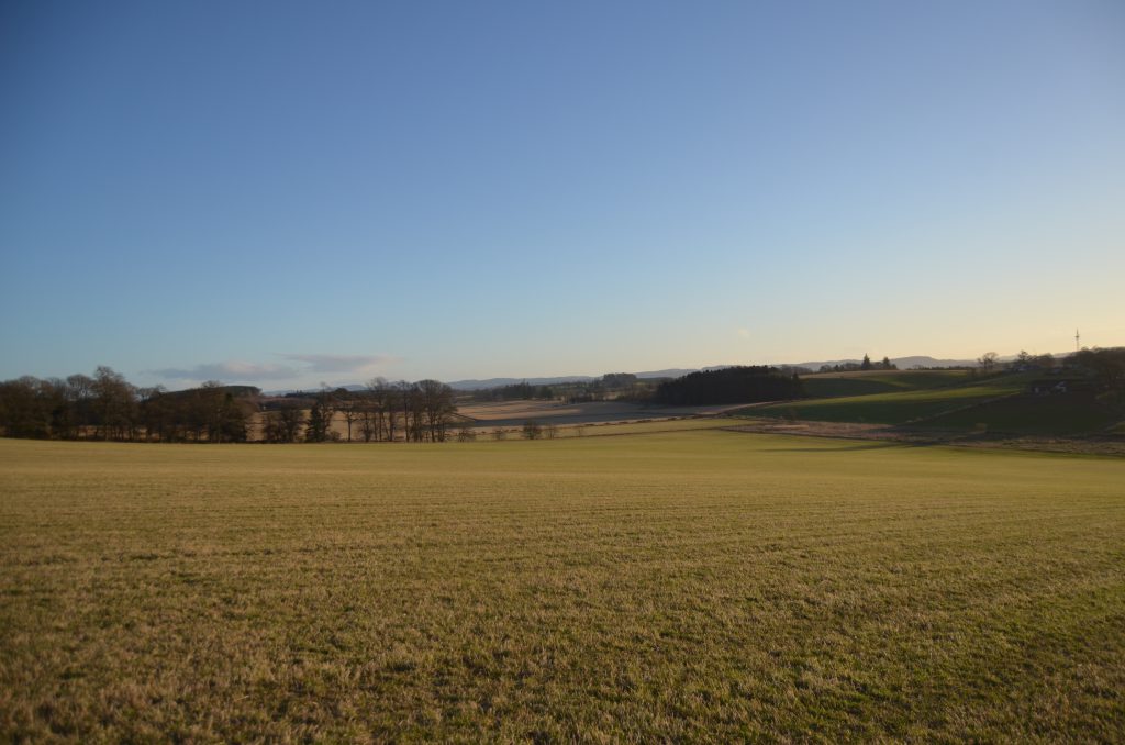Arable and pasture land for sale in lots on 95.41ac Agriland.co.uk