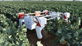 University to launch world’s first doctoral agri-robotics training centre