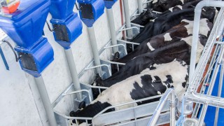 Fullwood announces acquisition of Dutch dealer network