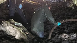 Mother and son sentenced following nightmare scenes at Ceredigion farm