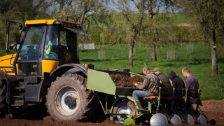 New wonder Miscanthus variety to launch at Cereals 2019
