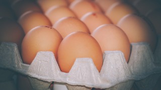Egg industry gives ‘cautious welcome’ to Government hen welfare pledge
