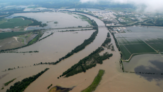 ‘As many as one million’ calves lost in Nebraska flooding