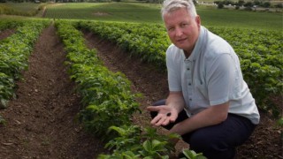 Metaldehyde ban: Alternatives event planned for north-east farmers