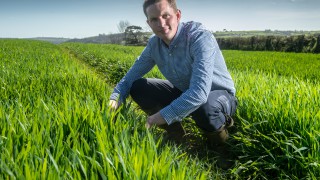 Cornish mixed farm becomes latest to join Monitor Farm network
