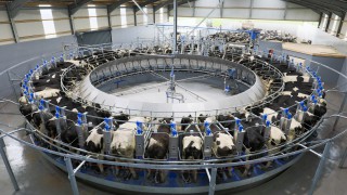 GDT: Slight increase continues positive trend