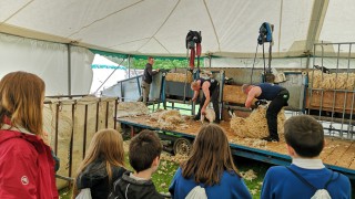 Agricultural society offers hands-on learning for more than 1,000 children