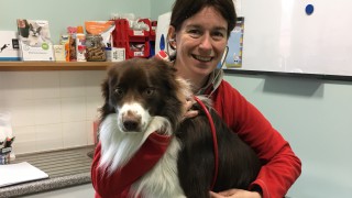 Moray vet elected as new BVA Scottish branch president