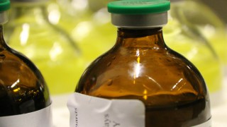 DAERA to form NI animal health group to tackle antimicrobial resistance