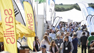 Get an early BASIS point boost at Cereals