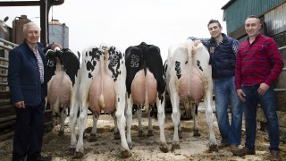 Moree herd dispersal sale to take place on Friday as Kelso brothers end partnership