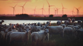 CLA joins consortium building long-term approach to environmental policymaking