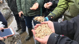 £30,000 awarded to woodchip bedding trial