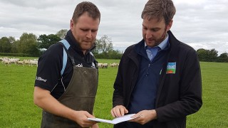 Red Meat benchmarking data released to farmers in Wales