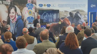 Highland Show: Ewing demands British Government equals Irish beef bail-out