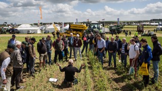Cereals 2019: Show must go on despite torrential rain
