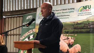 Farmers play ‘irreplaceable’ role in protecting UK’s natural environment