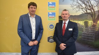 Welsh Lamb scores top traceability marks in scientific study