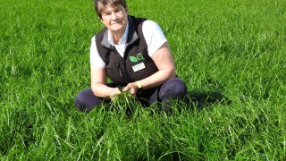 Better Grazing meetings to put multi-species swards in the spotlight