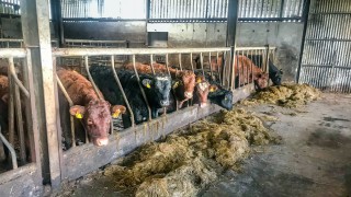 UFU calls for aid package similar to Irish deal