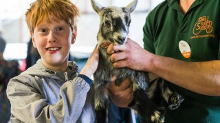 230,000 visitors take to farms for 2019 Open Farm Sunday
