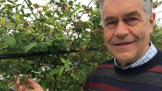 Scottish fruit farm named as third Strategic SmartHort Centre