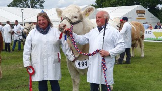 Highland Show: Veteran Charolais breeder clinches beef championship