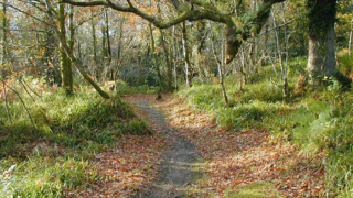 NI environment authority works with landowner to re-develop country park