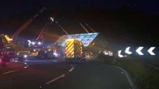 Lorry carrying 190 pigs overturns overnight