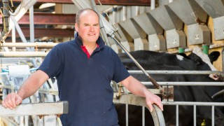 Flintshire farm announced as first Welsh strategic dairy farm