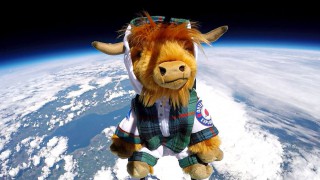 WATCH: Scottish tourist board sends Highland Cow into space