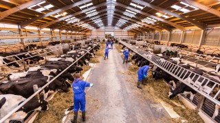 CAFRE’s Agricultural Business Operations courses open for 2019 applications